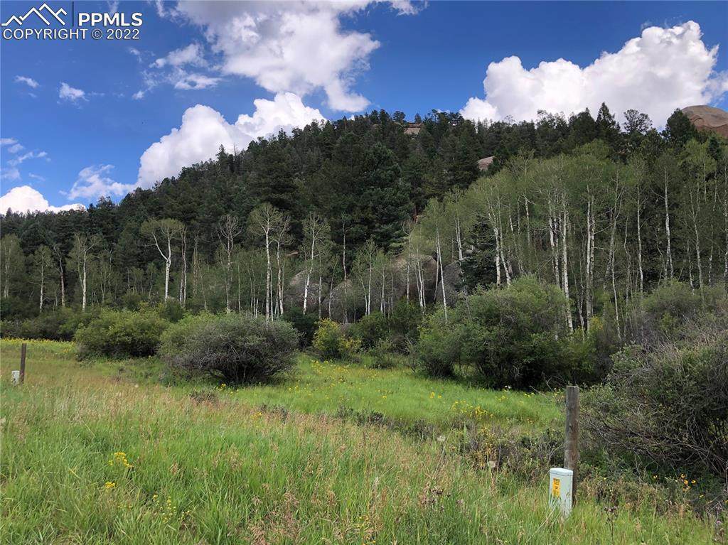 741 Pinon Lane - Photo 1