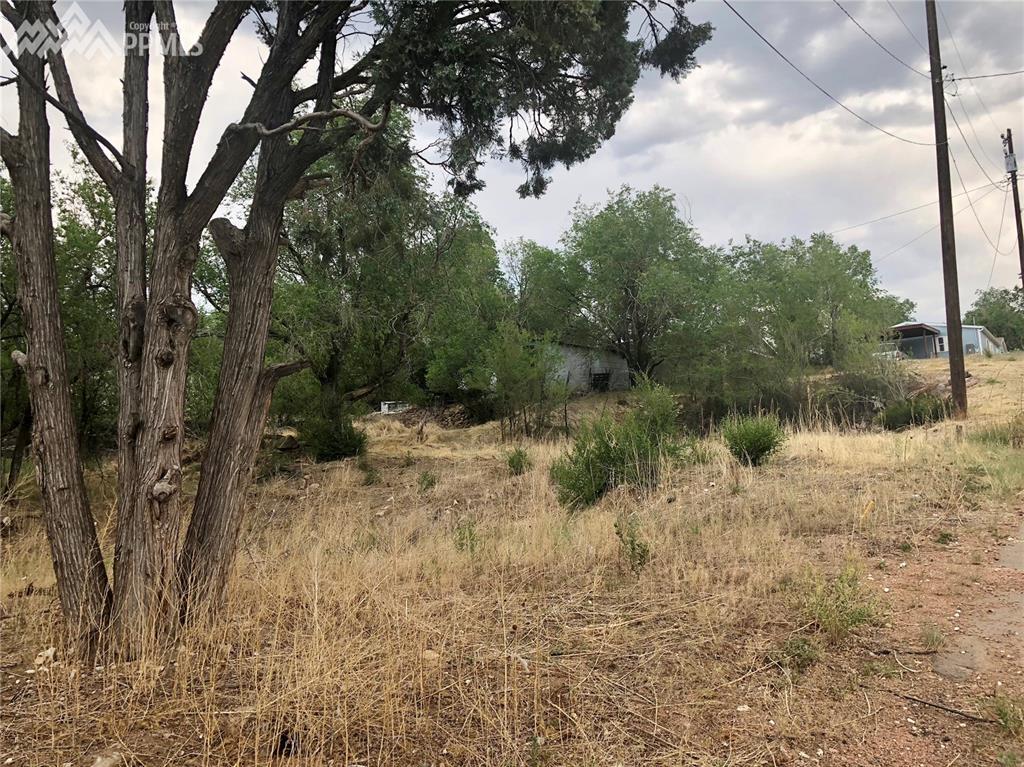 1304 Costilla Street - Photo 1
