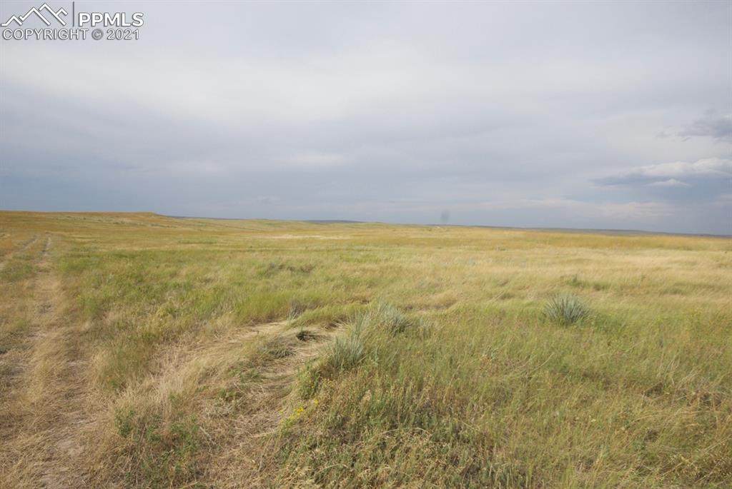 29895 Fred View - Photo 1