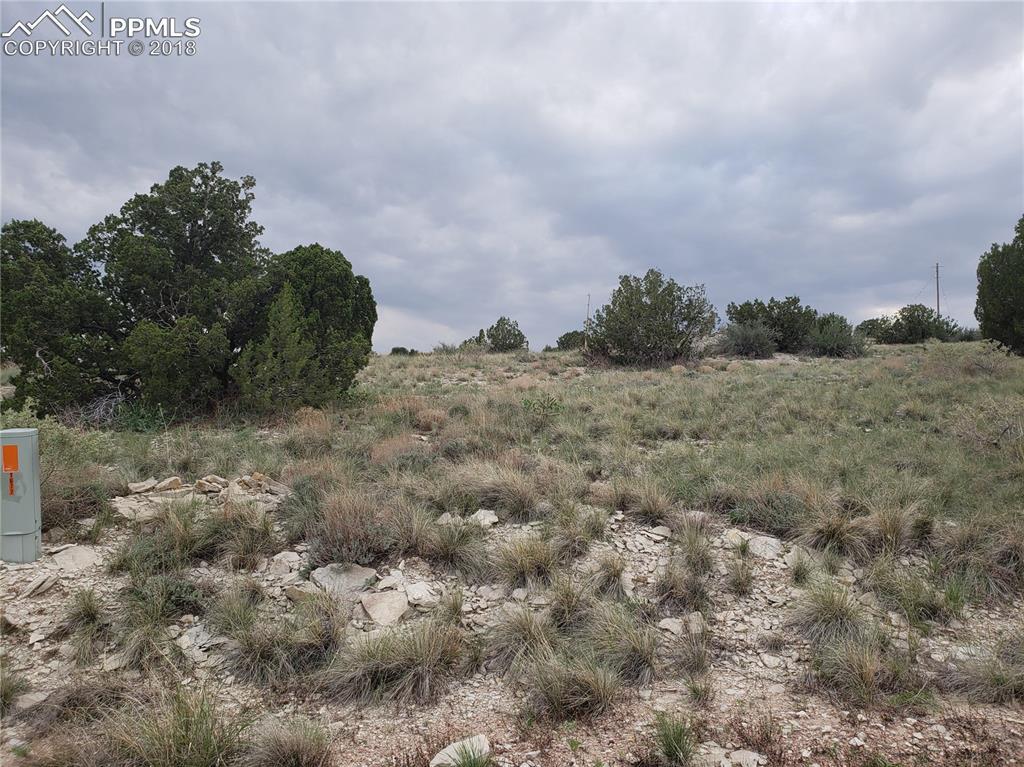 1677 Bonita Drive - Photo 1