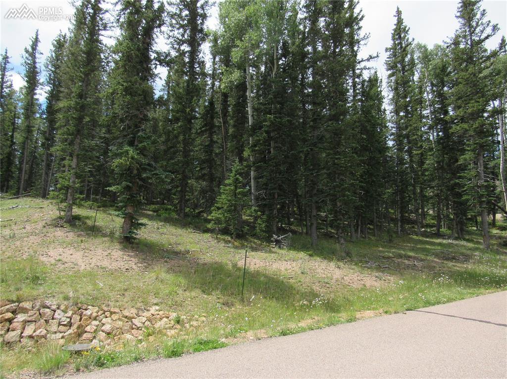 402 Silvermoon Heights - Photo 1