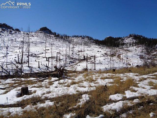 13865 Highway 67 Highway - Photo 1