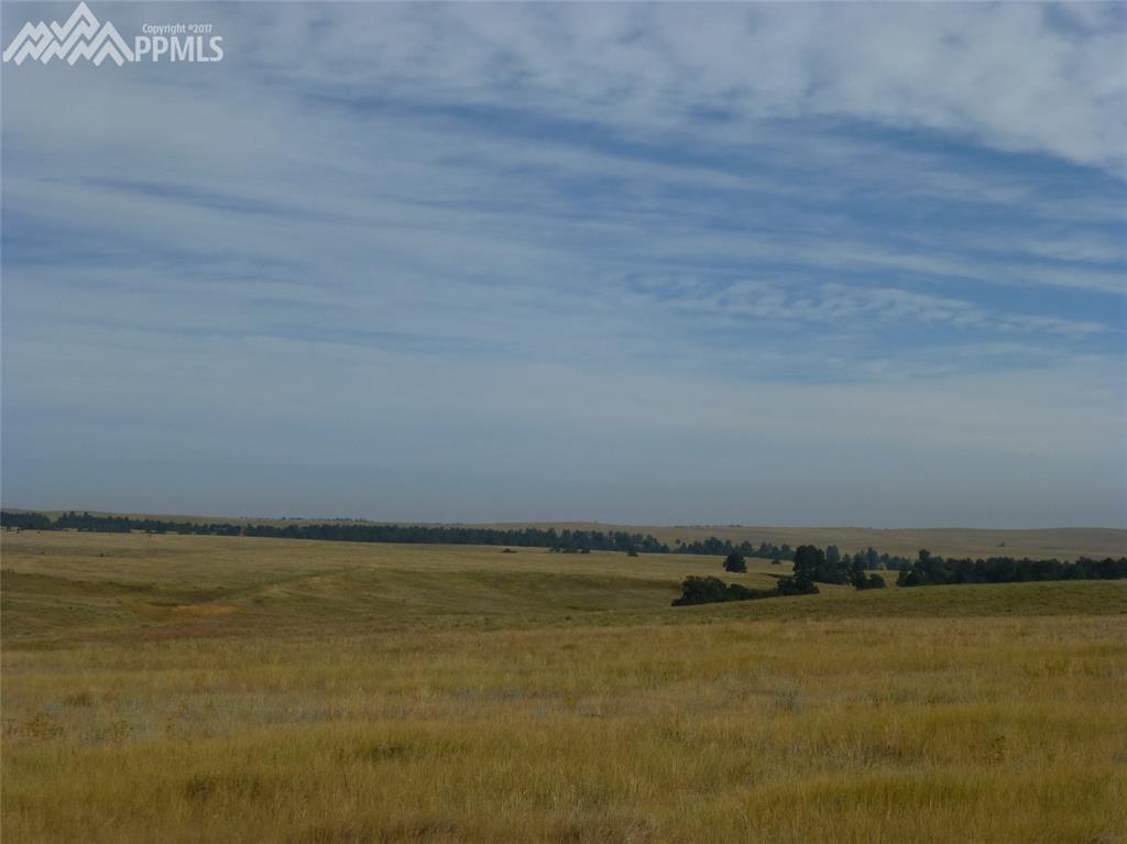 25535 Shorthorn Circle - Photo 1