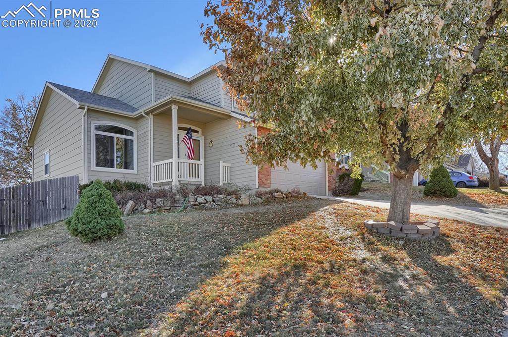 6329 Firestar Lane - Photo 1