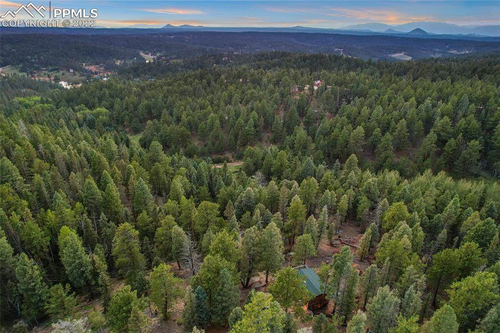 1423 Blossom Road - Photo 1