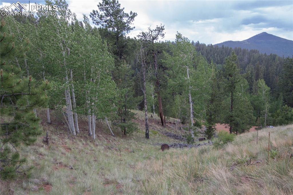 255 Idlewild Drive - Photo 1