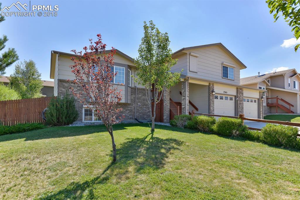 7245 Sue Lane - Photo 1