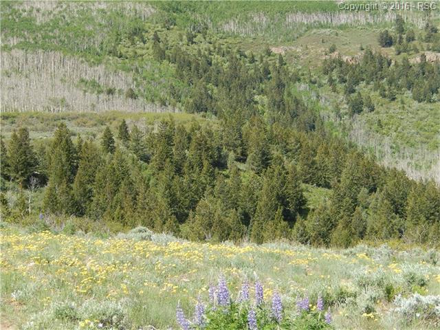 TBD County 140 Road - Photo 1