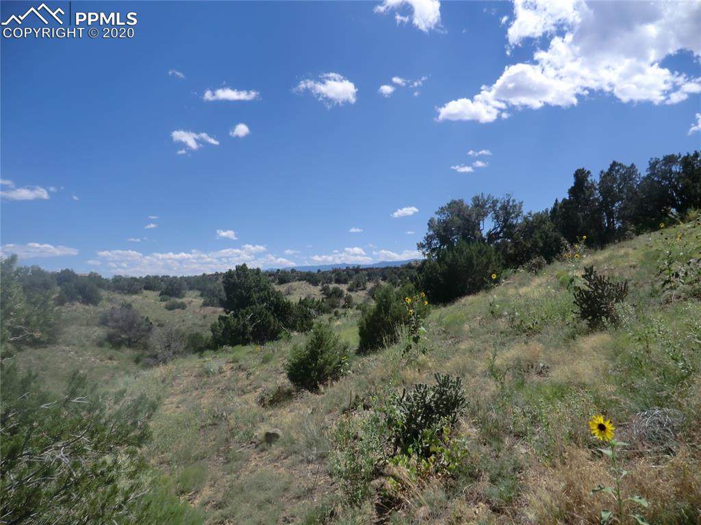 1239 Canon Ridge Road - Photo 1