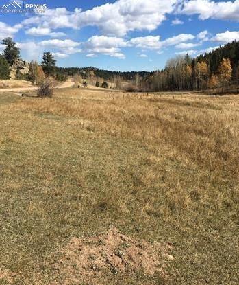 TBD Cripple Creek Road - Photo 1
