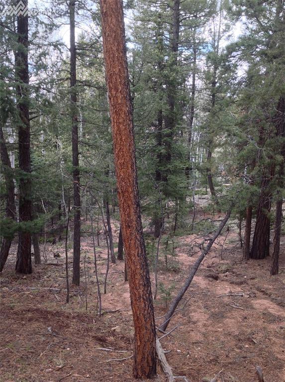 27 Eldorado Circle - Photo 1