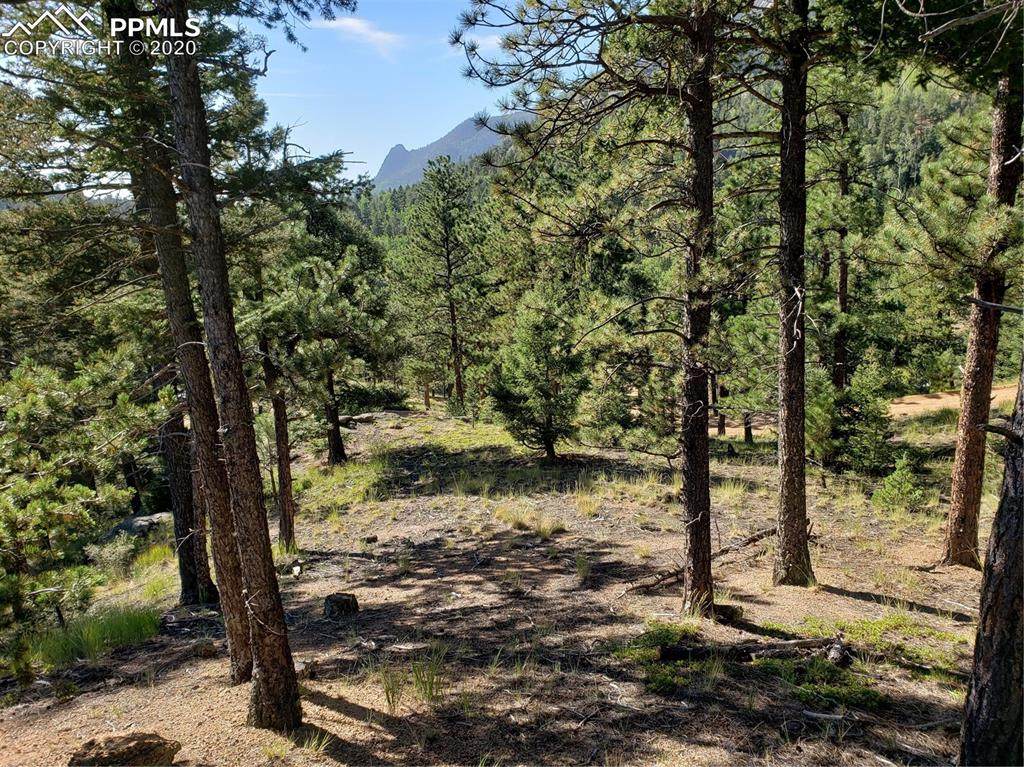 341 Waterfall Road - Photo 1