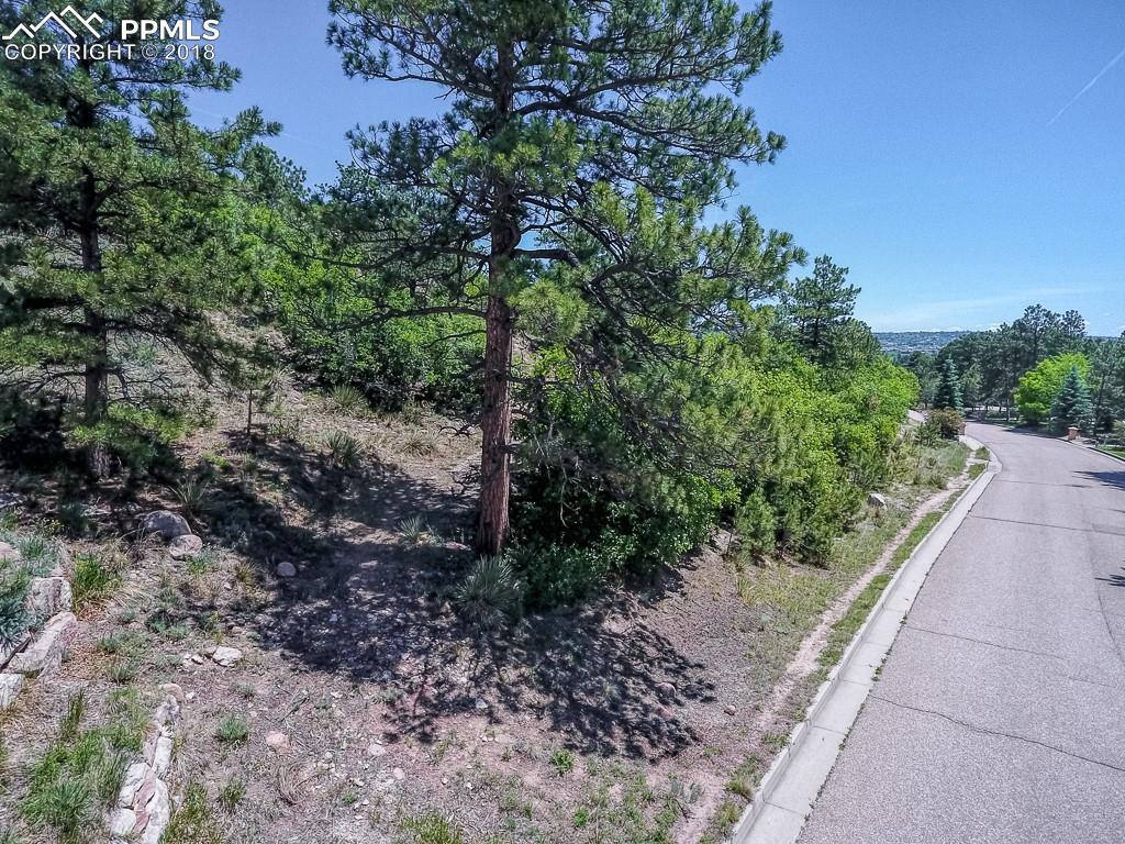 7410 Winding Oaks Drive - Photo 1