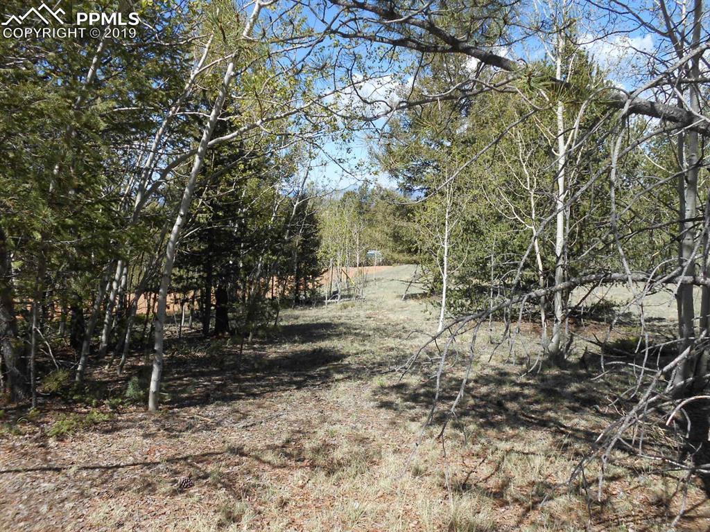 1819 May Queen Drive - Photo 1