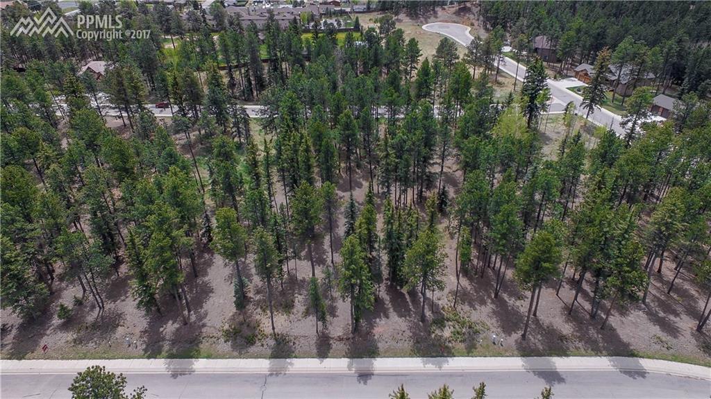 625 Chipmunk Drive - Photo 1