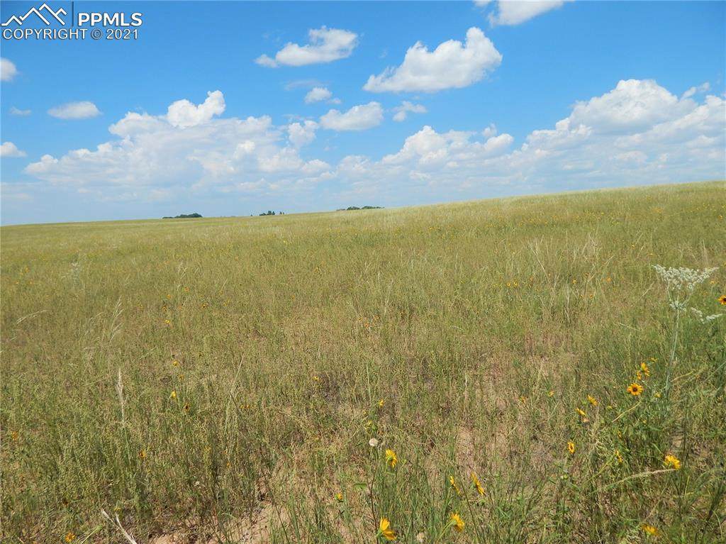 0000 Ellicott Highway - Photo 1
