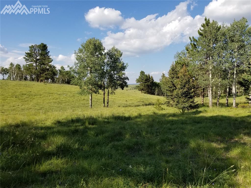 TBD Highway 67 Highway - Photo 1