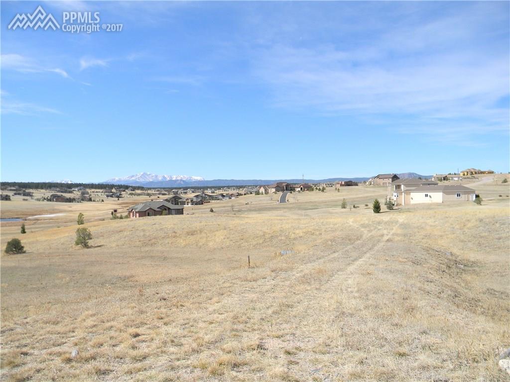 19834 Upchurch Way - Photo 1