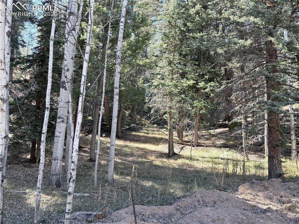 453 Homestead Drive - Photo 1