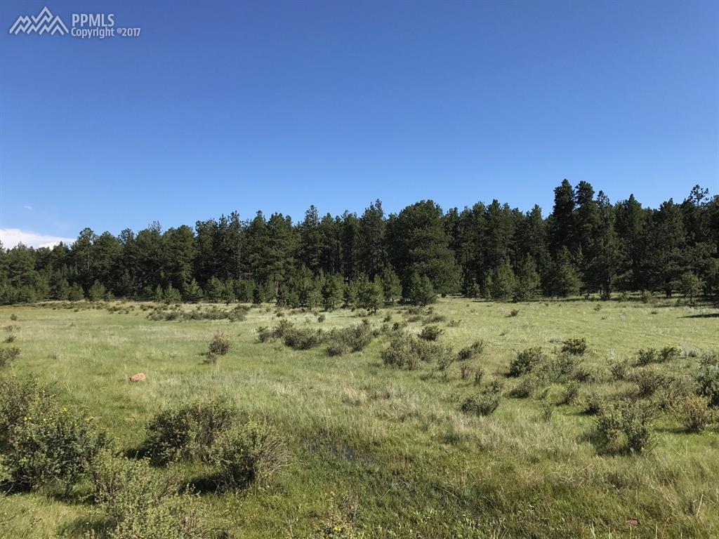 4220 Doe Valley Road - Photo 1