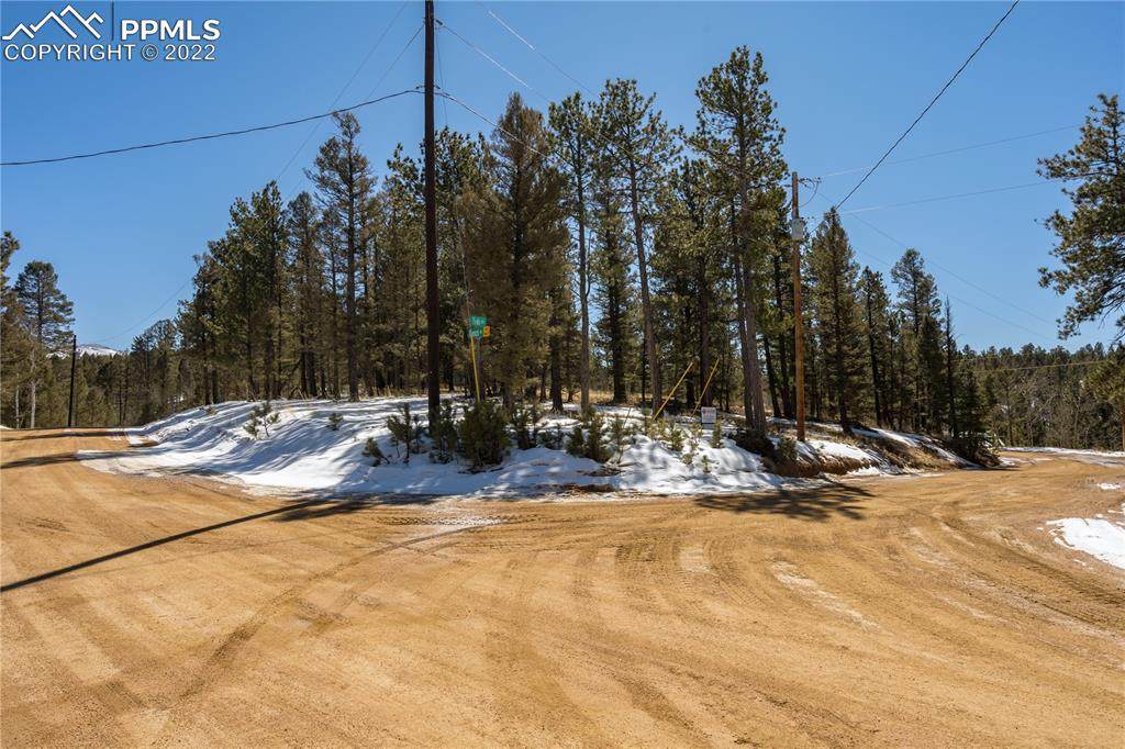 244 Tidi Road - Photo 1