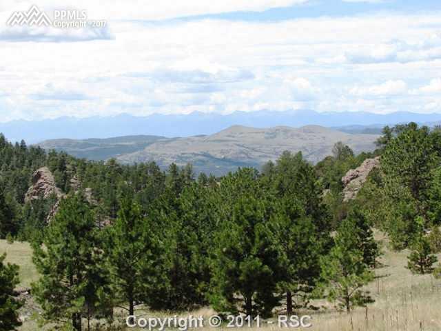 Lot 4 Spring Canyon Road - Photo 1