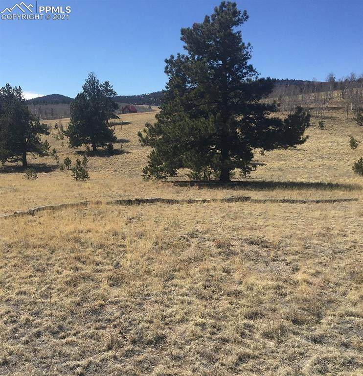 381 Brahma Circle - Photo 1