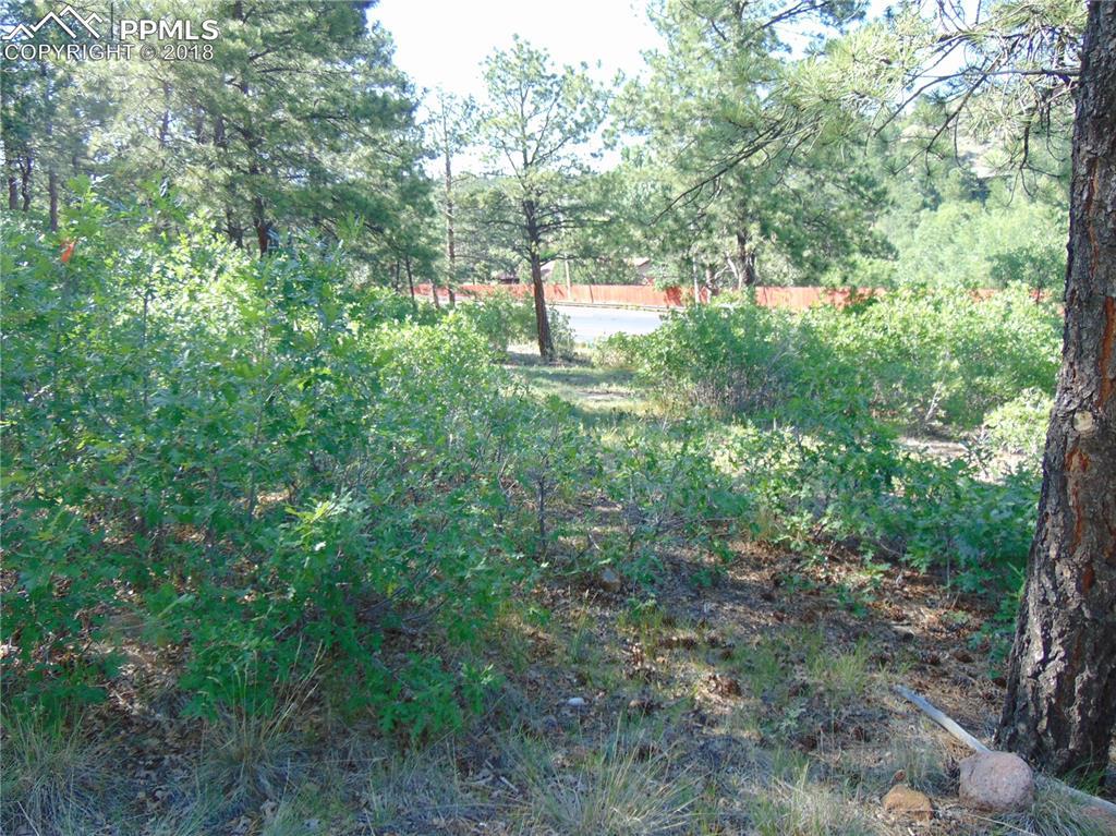 25 Woodmen Court - Photo 1