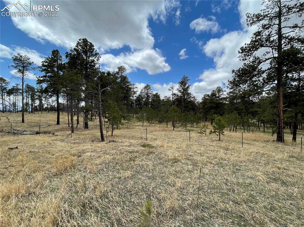 13395 Frank Road - Photo 1