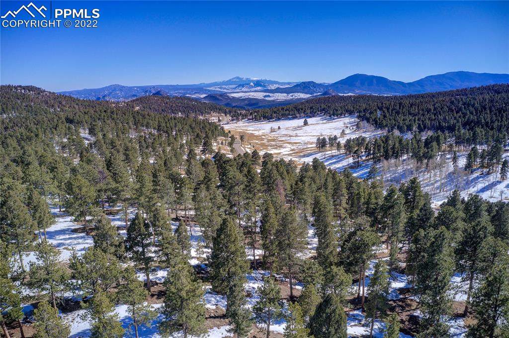 26451 Richmond Hill Road - Photo 1