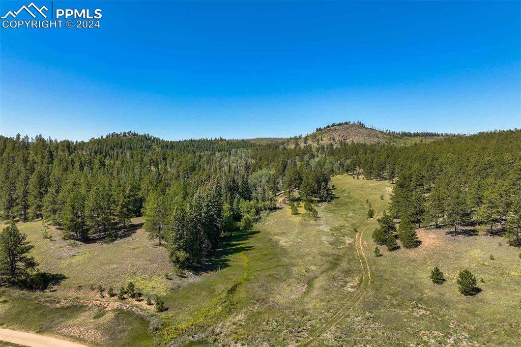 11068 Trail Creek Road - Photo 1