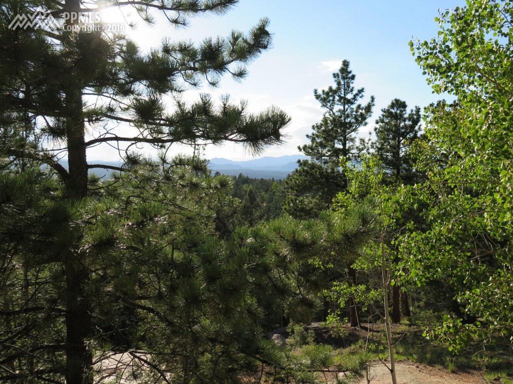 2369 Mountain Estates Road - Photo 1