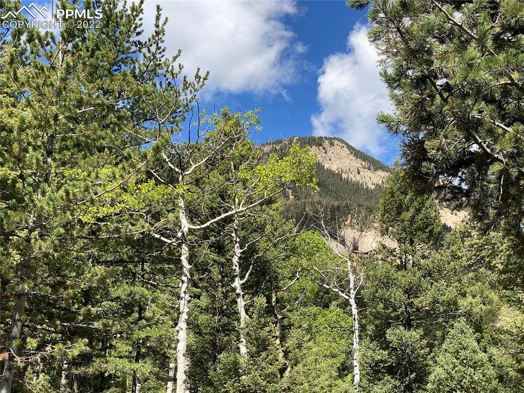 210 Waterfall Loop - Photo 1