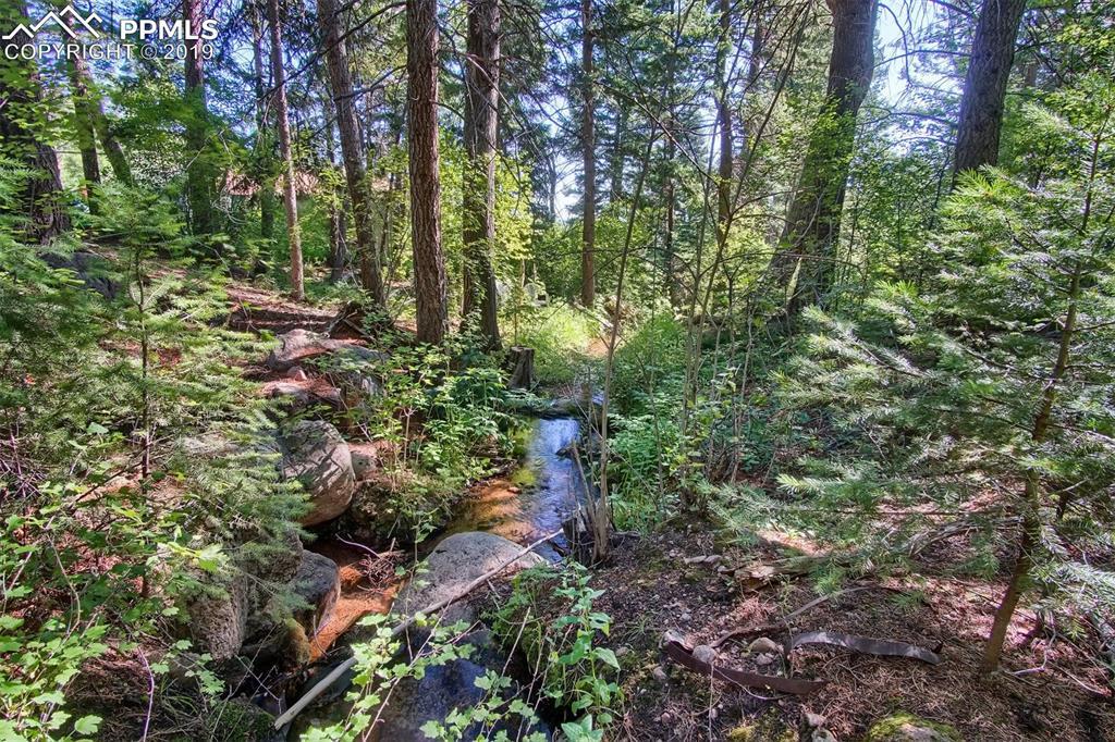 4320 Green Mountain Drive - Photo 1