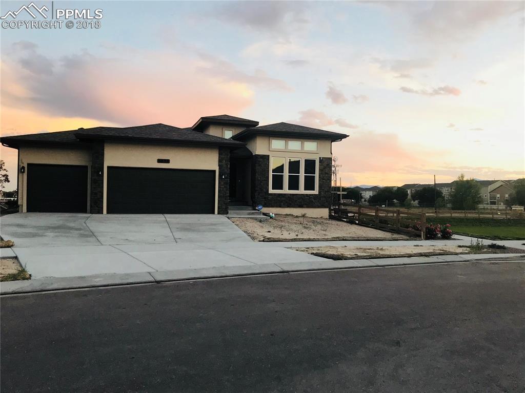 6839 Black Saddle Drive - Photo 1