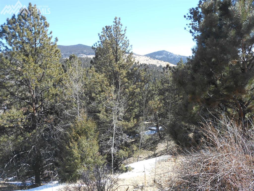 258 El Paso Court - Photo 1