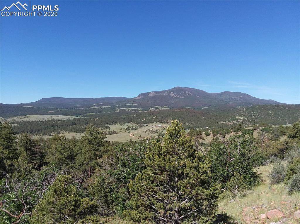 285 Rosebush Road - Photo 1