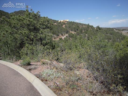 15505 Cuerno Verde View - Photo 1