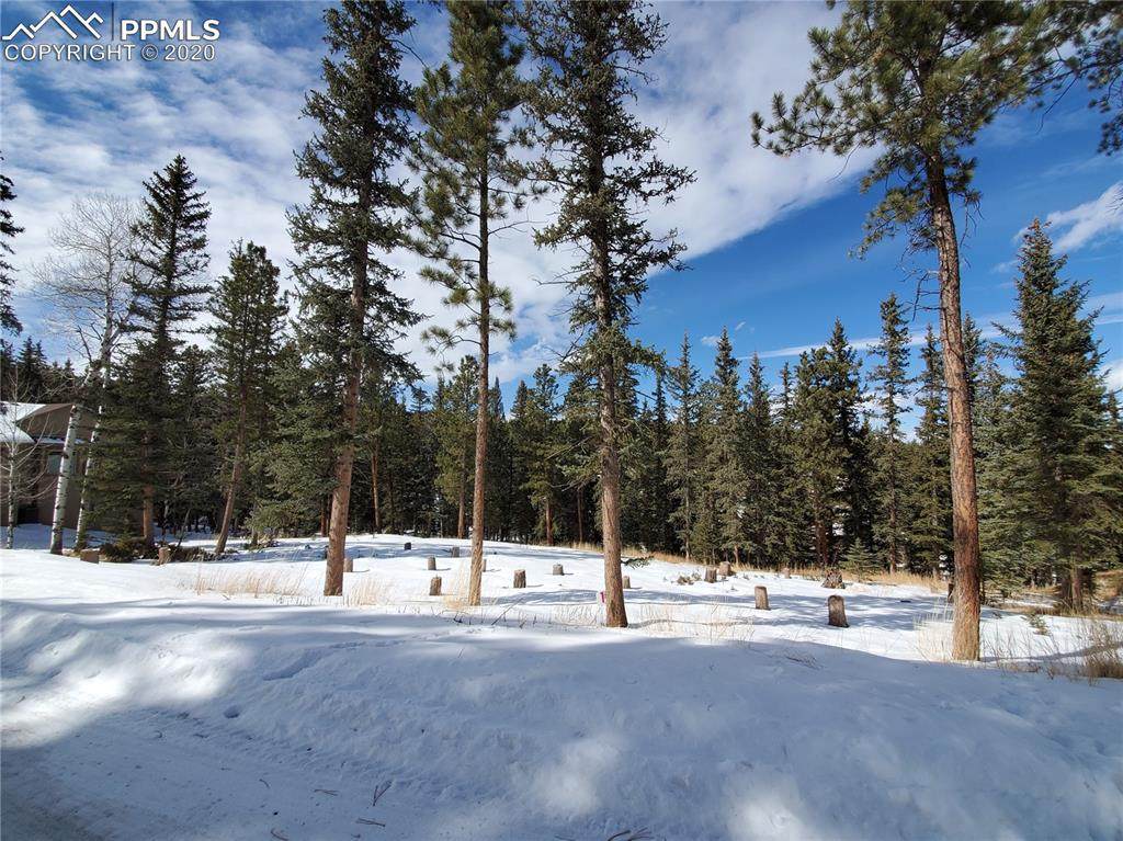 220 Iron Eagle Point - Photo 1