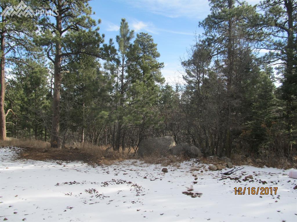 740 Paisley Drive - Photo 1