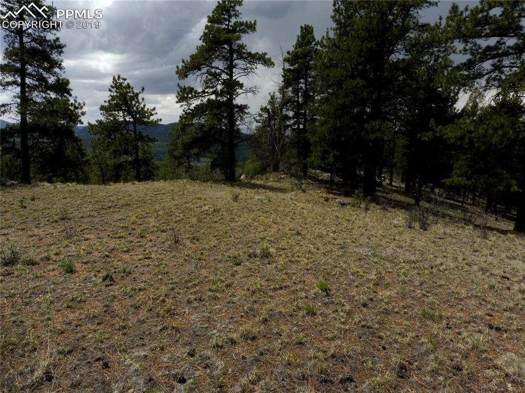 189 Navajo Trail - Photo 1 189 Navajo Trail - Photo 1
