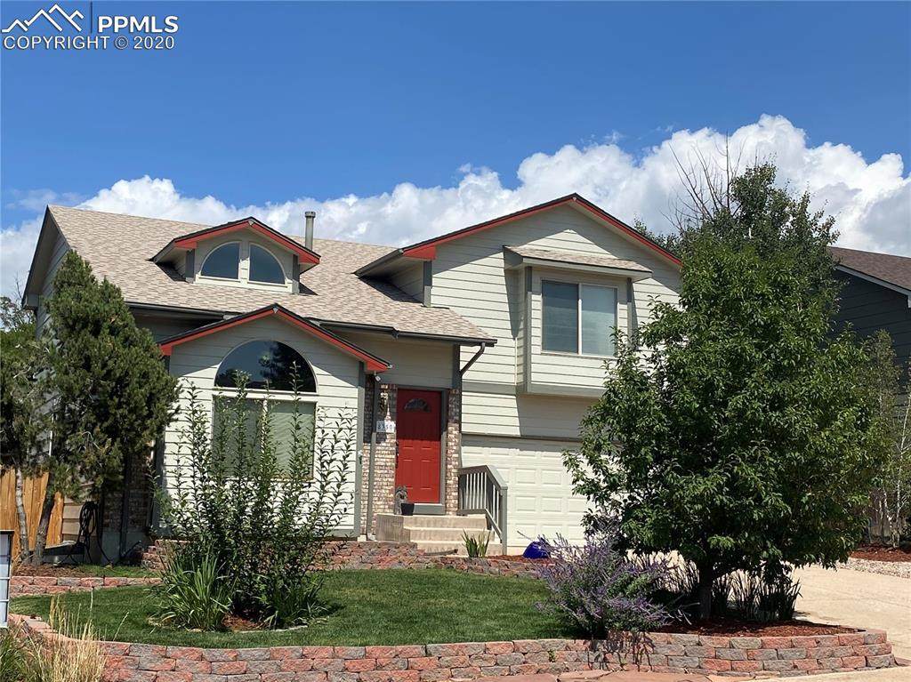 8350 Candleflower Circle - Photo 1