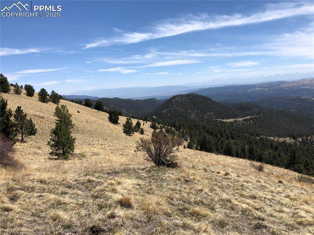 Spring Canyon Ranch Road - Photo 1