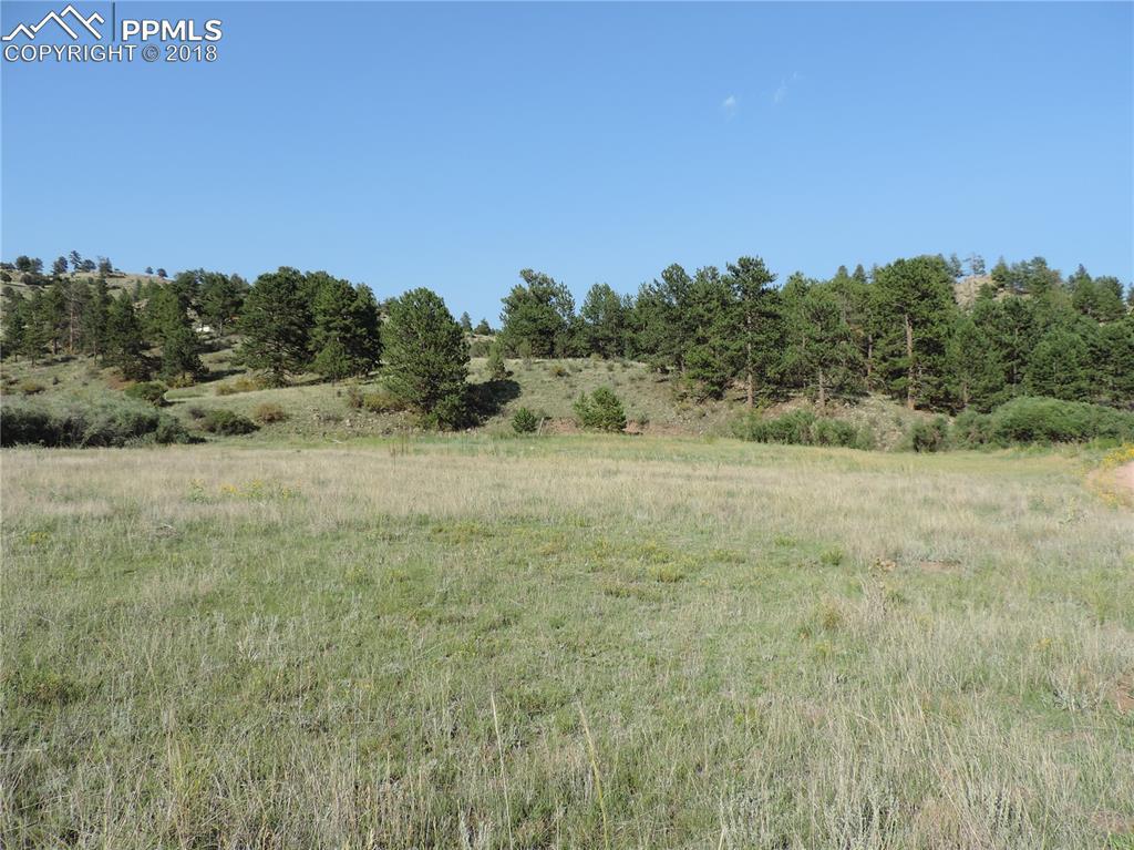525 Spring Valley Drive - Photo 1