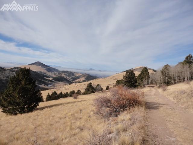 TBD Rhyolite Mountain Mesa Road - Photo 1