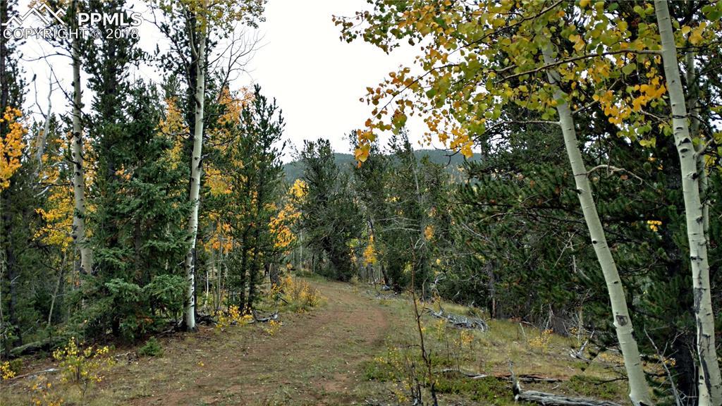298 Brown Bear Drive - Photo 1