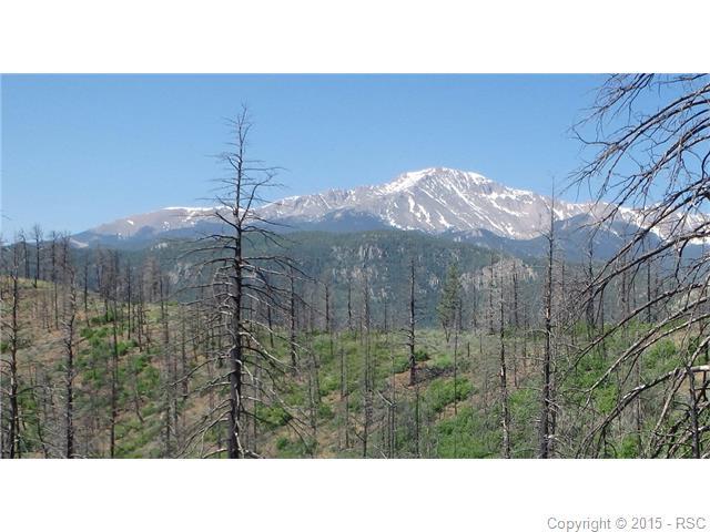 4129 Pyramid Mountain Road - Photo 1