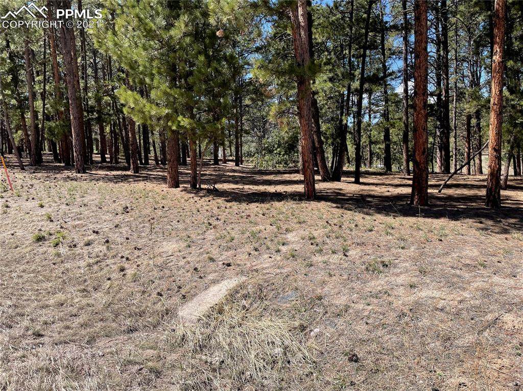 18330 Archers Drive - Photo 1