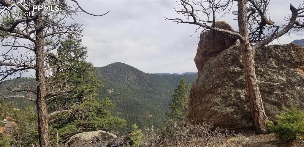 298 Sugarloaf Summit Road - Photo 1