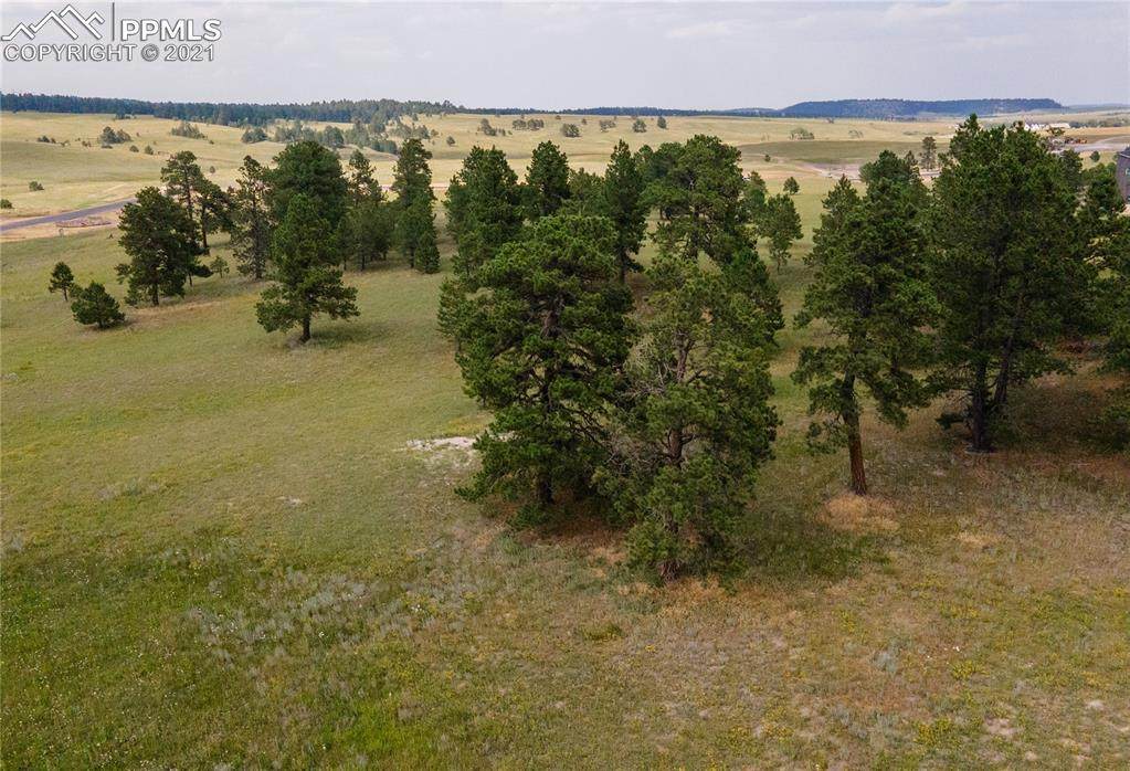 11072 Mosey Trail - Photo 1